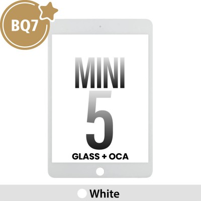 Front Screen Outer Glass With OCA for iPad mini 5 (2019) (BQ7)-White