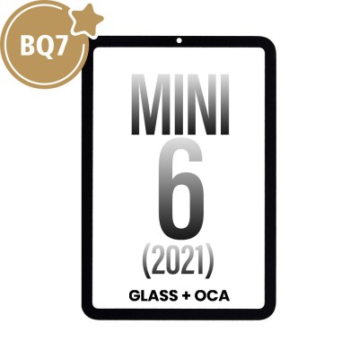 Front Screen Outer Glass With OCA for iPad mini (2021) (BQ7)-Black