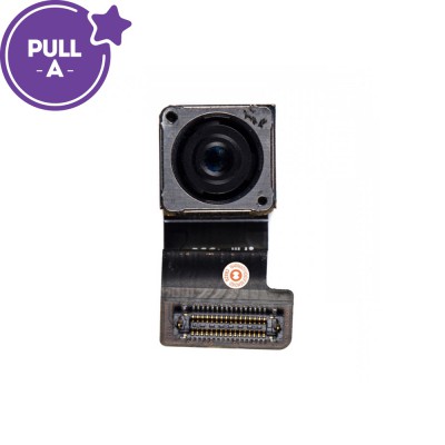 Rear Camera with Flex Cable for iPhone 5S (PULL-A)