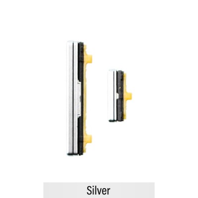 Power & Volume Button Set for Samsung Galaxy Fold F900F-Silver