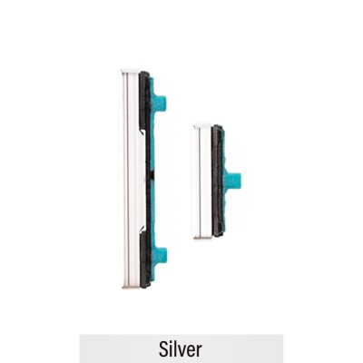 Power & Volume Button Set for Samsung Galaxy S21 Ultra 5G G998B-Silver