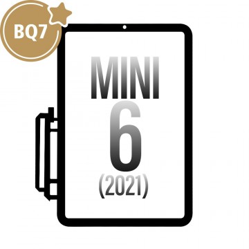 Touch Panel for iPad mini (2021) (BQ7)