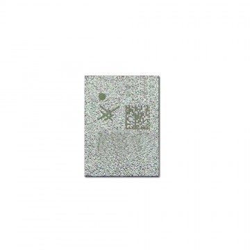 Power Amplifier IC (81013) for iPhone 11 / 11 Pro / 11 Pro Max