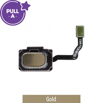 Home Button Flex Cable for Samsung Galaxy S9 G960F / S9 Plus G965F (PULL-A)-Gold