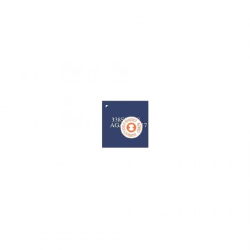 Big Audio IC for iPhone 8 / 8 Plus / X / XR / XS / XS Max (338S00248)